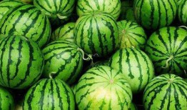 发烧可以吃小瓜吗