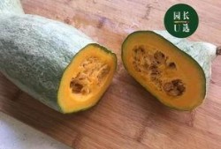 贵族贡瓜怎么吃,品味皇室级瓜果的奢华享受