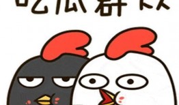 国外评论中国吃瓜视频