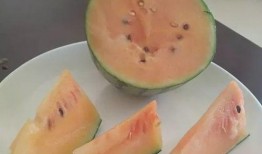 吃瓜瓜不瓜,一场关于网络热词的趣味探讨