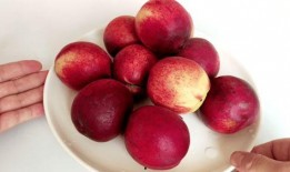 吃桃吃瓜实用攻略,桃子与西瓜的完美搭配攻略