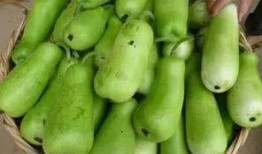 孕妇在家吃葫芦瓜,营养美味两不误