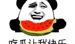 吃瓜群众专业吃瓜20年,揭秘娱乐圈那些事儿