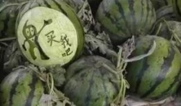 闲聊吃瓜视频,揭秘网络视频中的热门话题与幕后故事