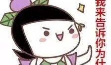 吃葫芦瓜的小猫,葫芦瓜诱惑下的猫咪美食探险记