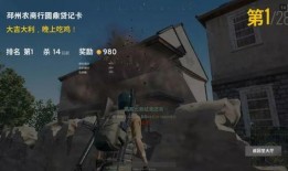 吃鸡绿洲世界吃瓜直播,瓜田李下，揭秘吃鸡高手们的幕后故事