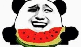 瑶瑶带你吃瓜,尽享味蕾盛宴