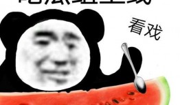 吃瓜记录,揭秘娱乐圈那些不为人知的吃瓜瞬间