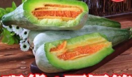 孕妇吃甜脆瓜好吗,孕妇适量食用甜脆瓜有益健康