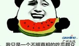 表情吃瓜什么意思嘛,揭秘“根据表情吃瓜”的网络流行语内涵