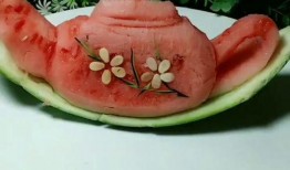 茶壶吃瓜日记,趣味盎然的茶界奇闻录