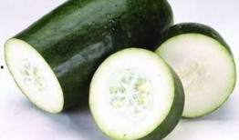 吃瓜四仙女,女生心中的美食传奇