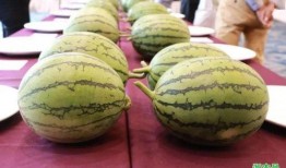 卡迪夫吃瓜,揭秘当地独特文化风情