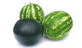 北定吃瓜事件,揭秘网络舆论的风云变幻