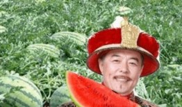 路哥吃瓜版,揭秘娱乐圈幕后真相，带你领略明星们的真实生活