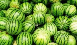 白大反吃瓜,揭秘娱乐圈背后的真相