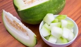 吐耳瓜尖尖可以吃吗,揭秘能否食用的奥秘