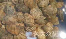 泰山路吃瓜,吃瓜群众的欢乐盛宴