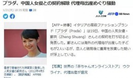 国外评论中国吃瓜视频