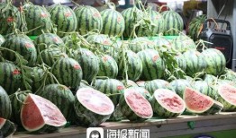 吉林教育机构吃瓜,揭秘吃瓜背后的真相