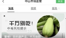 类风湿可以吃葫芦瓜,天然食疗新选择