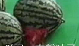 带你吃大瓜超市