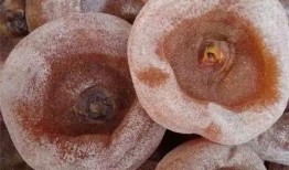 吃瓜能吃柿饼吗,夏日消暑美食搭配指南