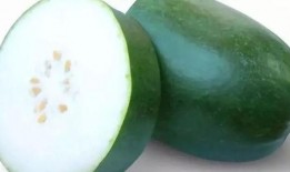 春吃芽与夏吃瓜,四季养生之道