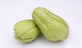 骨折后期可以吃佛手瓜吗,佛手瓜的适宜摄入与禁忌