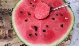 为什么阻止吃瓜,为何吃瓜行为被广泛阻止的内幕