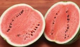 吃瓜群众的皮肤