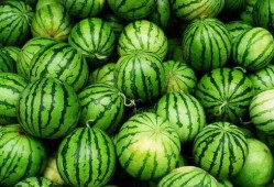 吃瓜健康食品,健康生活——探索吃瓜健康食品的奥秘