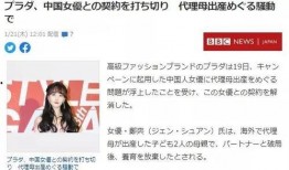 国外评论中国吃瓜视频