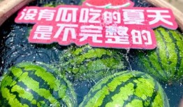 看吃瓜之旅,揭秘娱乐圈幕后故事