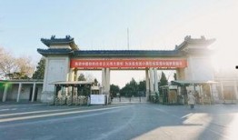 长城集团吃瓜银川,银川瓜果飘香背后的故事