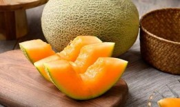 小林吃哈密瓜视频