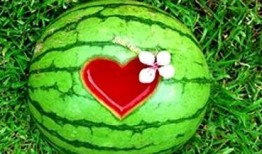 周公解梦瓜田里搞瓜吃瓜,瓜田里搞瓜吃瓜的寓意与启示