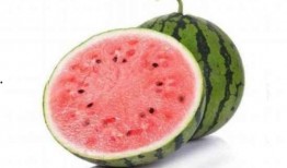 吃麒麟瓜声控,麒麟瓜的神秘呼唤