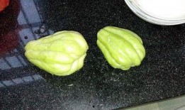 吃兔儿瓜有什么好处,养生保健的多重益处揭秘