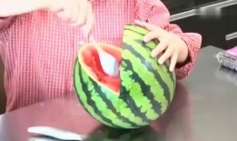 视频大全吃瓜,揭秘娱乐圈吃瓜盛宴，带你领略明星幕后故事