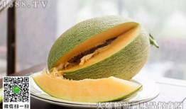 哺乳期吃哈密瓜好吗