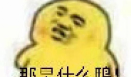 重庆人吃瓜表情包,麻辣鲜香，笑点满满