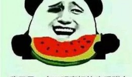 吃瓜群众在线吃瓜666,吃瓜群众在线吃瓜666，揭秘网络热点的背后