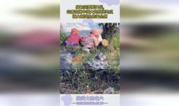 缅甸吃瓜大妈视频播放,揭秘当地生活趣味瞬间