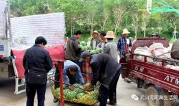 甘肃吃瓜群众起源,甘肃“吃瓜群众”的起源与演变