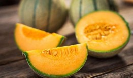 北屯哈密瓜怎么吃,北屯哈密瓜的多彩食法探索
