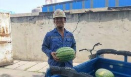 吃瓜群众摔护栏视频,视频记录惊魂一幕