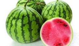 吃瓜不要瓜,网络热词背后的文化现象