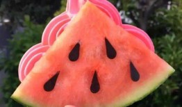 网红缅北吃瓜,揭秘网络红人背后的神秘世界