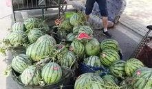 韩城吃瓜杀手事件,揭秘网络谣言背后的真相